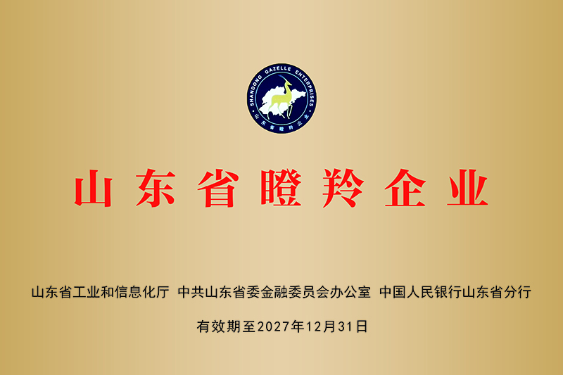 【2024-12-31】喜報(bào)！山東智慧照明科技有限公司被認(rèn)定為山東省瞪羚企業(yè)D.jpg